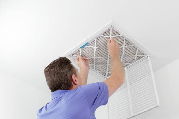 Air Duct Mold Removal in Robertsville, NJ